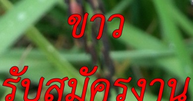 ด่วน กยศ รับสมัคร เจ้าหน้าที่บริหารและติดตามหนี้ สนใจคลิ๊ก ด่วน กยศ รับสมัคร เจ้าหน้าที่บริหารและติดตามหนี้ สนใจคลิ๊ก